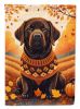 Chocolate Labrador Retriever Fall House Flag Large Porch Sleeve Pole Decorative Outside Yard Banner Artwork Wall Hanging, Polyester, House Size