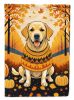 Yellow Labrador Retriever Fall House Flag Large Porch Sleeve Pole Decorative Outside Yard Banner Artwork Wall Hanging, Polyester, House Size