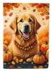 Golden Retriever Fall House Flag Large Porch Sleeve Pole Decorative Outside Yard Banner Artwork Wall Hanging, Polyester, House Size, Multicolor
