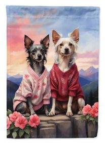 Chinese Crested Two Hearts House Flag Large Porch Sleeve Pole Decorative Outside Yard Banner Artwork Wall Hanging, Polyester, House Size, Multicolor