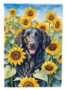 Curly-Coated Retriever in Sunflowers Garden Flag Mailbox Flag Decorative Yard Flag Banner Outside Patio Artwork Yard Flower Beds, Garden Size