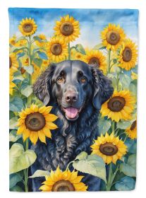 Curly-Coated Retriever in Sunflowers Garden Flag Mailbox Flag Decorative Yard Flag Banner Outside Patio Artwork Yard Flower Beds, Garden Size