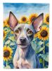 American Hairless Terrier in Sunflowers Garden Flag Mailbox Flag Decorative Yard Flag Banner Outside Patio Artwork Yard Flower Beds, Garden Size