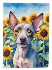American Hairless Terrier in Sunflowers Garden Flag Mailbox Flag Decorative Yard Flag Banner Outside Patio Artwork Yard Flower Beds, Garden Size