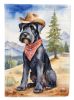 Giant Schnauzer Cowboy Welcome Garden Flag Mailbox Flag Decorative Yard Flag Banner Outside Patio Artwork Yard Flower Beds, Garden Size, Multicolor