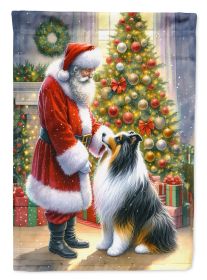 Collie and Santa Claus House Flag Large Porch Sleeve Pole Decorative Outside Yard Banner Artwork Wall Hanging, Polyester, House Size, Multicolor