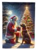 Chesapeake Bay Retriever and Santa Claus House Flag Large Porch Sleeve Pole Decorative Outside Yard Banner Artwork Wall Hanging, Polyester, House Size