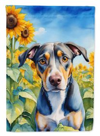 Catahoula in Sunflowers Garden Flag Mailbox Flag Decorative Yard Flag Banner Outside Patio Artwork Yard Flower Beds, Garden Size, Multicolor