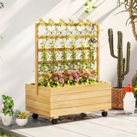 Raised Garden Bed/Garden Bed, Galvanized Planter