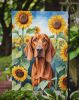 Redbone Coonhound in Sunflowers Garden Flag Mailbox Flag Decorative Yard Flag Banner Outside Patio Artwork Yard Flower Beds, Garden Size, Multicolor