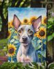 American Hairless Terrier in Sunflowers Garden Flag Mailbox Flag Decorative Yard Flag Banner Outside Patio Artwork Yard Flower Beds, Garden Size