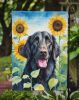 Flat-Coated Retriever in Sunflowers Garden Flag Mailbox Flag Decorative Yard Flag Banner Outside Patio Artwork Yard Flower Beds, Garden Size