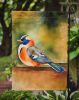 Mandarin Duck Garden Flag Mailbox Flag Decorative Yard Flag Banner Outside Patio Artwork Yard Flower Beds, Garden Size, Multicolor