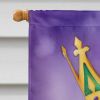 Welsh Springer Spaniel King of Mardi Gras House Flag Large Porch Sleeve Pole Decorative Outside Yard Banner Artwork Wall Hanging, Polyester