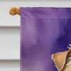 Norfolk Terrier King of Mardi Gras House Flag Large Porch Sleeve Pole Decorative Outside Yard Banner Artwork Wall Hanging, Polyester, House Size