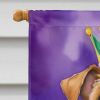 Irish Terrier King of Mardi Gras House Flag Large Porch Sleeve Pole Decorative Outside Yard Banner Artwork Wall Hanging, Polyester, House Size