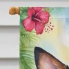 Australian Cattle Dog Luau House Flag Large Porch Sleeve Pole Decorative Outside Yard Banner Artwork Wall Hanging, Polyester, House Size, Multicolor