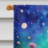 Asters in Color House Flag Large Porch Sleeve Pole Decorative Outside Yard Banner Artwork Wall Hanging, Polyester, House Size, Multicolor