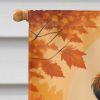 Briard Fall House Flag Large Porch Sleeve Pole Decorative Outside Yard Banner Artwork Wall Hanging, Polyester, House Size, Multicolor