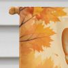 Corgi Fall House Flag Large Porch Sleeve Pole Decorative Outside Yard Banner Artwork Wall Hanging, Polyester, House Size, Multicolor