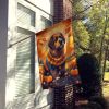 Briard Fall House Flag Large Porch Sleeve Pole Decorative Outside Yard Banner Artwork Wall Hanging, Polyester, House Size, Multicolor