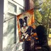 Border Collie Fall House Flag Large Porch Sleeve Pole Decorative Outside Yard Banner Artwork Wall Hanging, Polyester, House Size, Multicolor