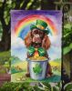 Sussex Spaniel St Patrick's Day Garden Flag Mailbox Flag Decorative Yard Flag Banner Outside Patio Artwork Yard Flower Beds, Garden Size, Multicolor