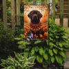 Chocolate Labrador Retriever Fall Garden Flag Mailbox Flag Decorative Yard Flag Banner Outside Patio Artwork Yard Flower Beds, Garden Size, Multicolor