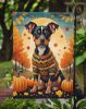 Miniature Pinscher Fall Garden Flag Mailbox Flag Decorative Yard Flag Banner Outside Patio Artwork Yard Flower Beds, Garden Size, Multicolor