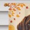 Chocolate Labrador Retriever Fall House Flag Large Porch Sleeve Pole Decorative Outside Yard Banner Artwork Wall Hanging, Polyester, House Size
