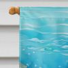Flounder House Flag Large Porch Sleeve Pole Decorative Outside Yard Banner Artwork Wall Hanging, Polyester, House Size, Multicolor