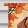 Rhodesian Ridgeback Fall House Flag Large Porch Sleeve Pole Decorative Outside Yard Banner Artwork Wall Hanging, Polyester, House Size, Multicolor