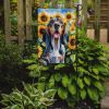 American English Coonhound in Sunflowers Garden Flag Mailbox Flag Decorative Yard Flag Banner Outside Patio Artwork Yard Flower Beds, Garden Size