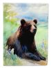 American Black Bear Garden Flag Mailbox Flag Decorative Yard Flag Banner Outside Patio Artwork Yard Flower Beds, Garden Size, Multicolor