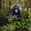 Chimpanzee Garden Flag Mailbox Flag Decorative Yard Flag Banner Outside Patio Artwork Yard Flower Beds, Garden Size, Multicolor