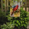 Cardinal Garden Flag Mailbox Flag Decorative Yard Flag Banner Outside Patio Artwork Yard Flower Beds, Garden Size, Multicolor