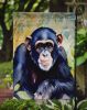 Chimpanzee Garden Flag Mailbox Flag Decorative Yard Flag Banner Outside Patio Artwork Yard Flower Beds, Garden Size, Multicolor