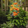 California California Poppies in Watercolor Garden Flag Mailbox Flag Decorative Yard Flag Banner Outside Patio Artwork Yard Flower Beds, Garden Size