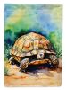 Turtles Tortoises House Flag Large Porch Sleeve Pole Decorative Outside Yard Banner Artwork Wall Hanging, Polyester, House Size, Multicolor