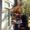 Kodiak Bear House Flag Large Porch Sleeve Pole Decorative Outside Yard Banner Artwork Wall Hanging, Polyester, House Size, Multicolor