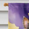 Sheltie King of Mardi Gras House Flag Large Porch Sleeve Pole Decorative Outside Yard Banner Artwork Wall Hanging, Polyester, House Size, Multicolor