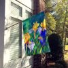Tennessee Iris in Watercolor House Flag Large Porch Sleeve Pole Decorative Outside Yard Banner Artwork Wall Hanging, Polyester, House Size, Multicolor