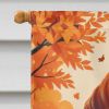 Dachshund Fall House Flag Large Porch Sleeve Pole Decorative Outside Yard Banner Artwork Wall Hanging, Polyester, House Size, Multicolor