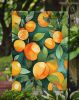 Florida Orange Blossom in Watercolor Garden Flag Mailbox Flag Decorative Yard Flag Banner Outside Patio Artwork Yard Flower Beds, Garden Size