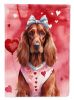 Irish Setter My Valentine Garden Flag Mailbox Flag Decorative Yard Flag Banner Outside Patio Artwork Yard Flower Beds, Garden Size, Multicolor