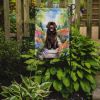 Newfoundland Spring Path Garden Flag Mailbox Flag Decorative Yard Flag Banner Outside Patio Artwork Yard Flower Beds, Garden Size, Multicolor