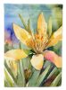 New Mexico Yucca Flower in Watercolor House Flag Large Porch Sleeve Pole Decorative Outside Yard Banner Artwork Wall Hanging, Polyester, House Size