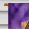 Welsh Terrier King of Mardi Gras House Flag Large Porch Sleeve Pole Decorative Outside Yard Banner Artwork Wall Hanging, Polyester, House Size