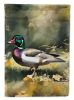 Wood Duck Garden Flag Mailbox Flag Decorative Yard Flag Banner Outside Patio Artwork Yard Flower Beds, Garden Size, Multicolor